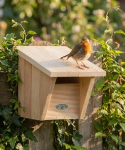 Roodborst bij roodborst comfort nestkast – The Bird Family