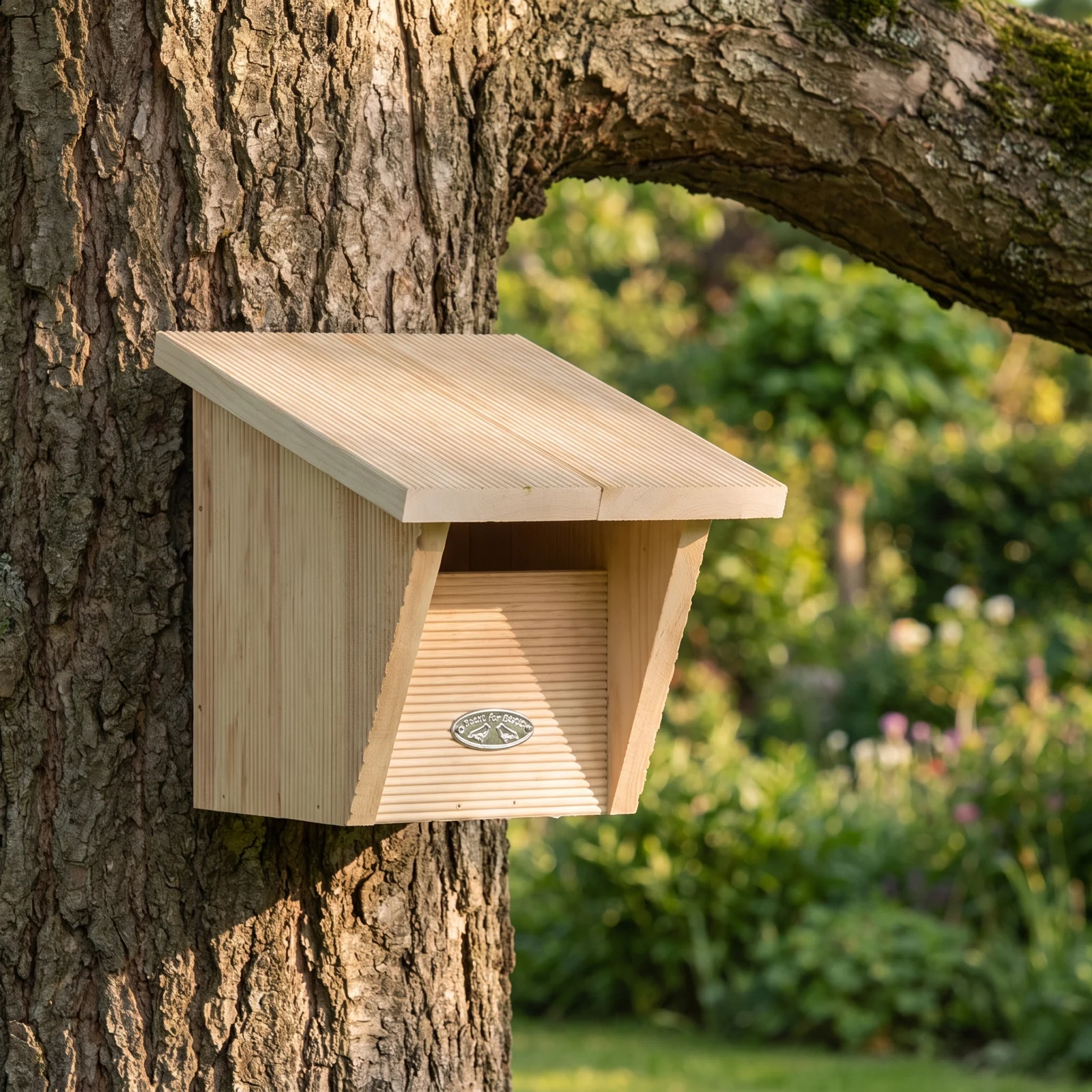 Roodborst comfort nestkast in de tuin – The Bird Family