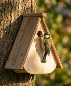 Koolmees bij nestkast Buitengewoon – The Bird Family