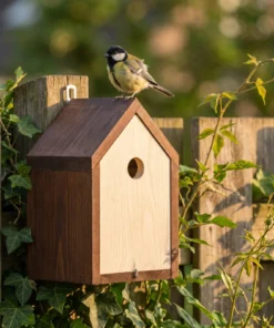 Koolmees bij nestkast Nutan – The Bird Family