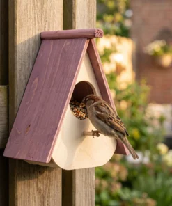 Huismus bij wandvoederhuis – The Bird Family