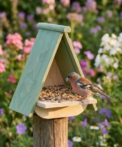 Vink bij voederhuis plateau – The Bird Family