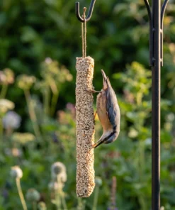 Boomklever eet van vetstaaf noten XL – The Bird Family