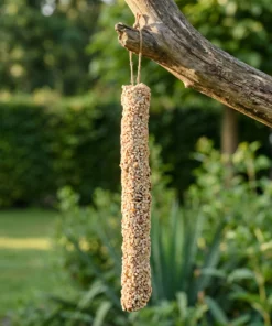 Vetstaaf noten XL in de tuin – The Bird Family