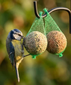 Pimpelmees eet van vetbollen premium mix met net – The Bird Family