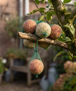 Vetbollen premium mix met net in de tuin – The Bird Family