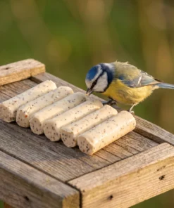 Pimpelmees eet van vetstaafjes high energy plus – The Bird Family