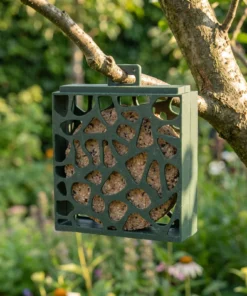 Vogelcakehouder Hulst in de tuin – The Bird Family