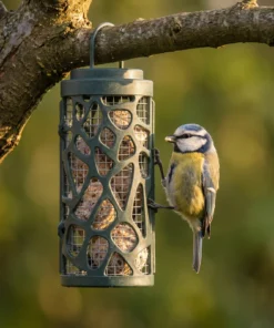 Pimpelmees eet uit vetbolsilo Jasmijn – The Bird Family