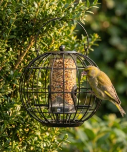 Groenling eet uit zadensilo Calla – The Bird Family