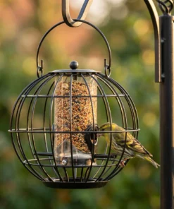 Sijs eet uit zadensilo Calla – The Bird Family