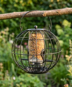 Zadensilo Calla in de tuin – The Bird Family