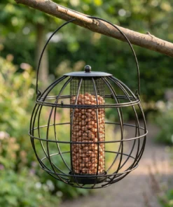 Pindasilo Alant in de tuin – The Bird Family