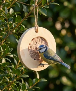 Pimpelmees eet van vogelmousse voederring blank – The Bird Family