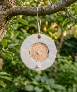 Vogelmousse voederring grijs in de tuin – The Bird Family