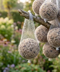 Vetbollen zonnepit met net in de tuin – The Bird Family