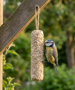 Pimpelmees eet van vetstaaf zonnepit XL – The Bird Family