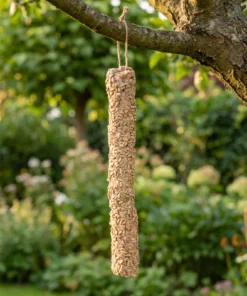 Vetstaaf zonnepit XL in de tuin – The Bird Family