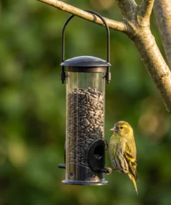 Sijs bij een zwarte vogelvoedersilo met transparant reservoir