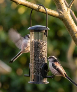 Staartmezen bij een hangende vogelvoedersilo in de tuin