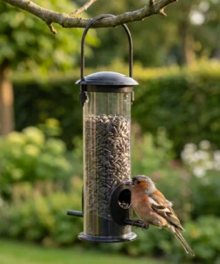 Vink eet zonnebloempitten uit een zwarte vogelvoedersilo