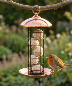 Roodborst op de koperen opvangschaal van een vetbolhouder